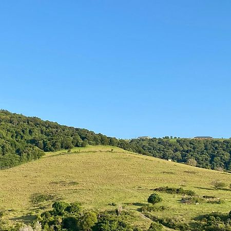 Отель Hills View Bnb Studio Kiama Heights Экстерьер фото